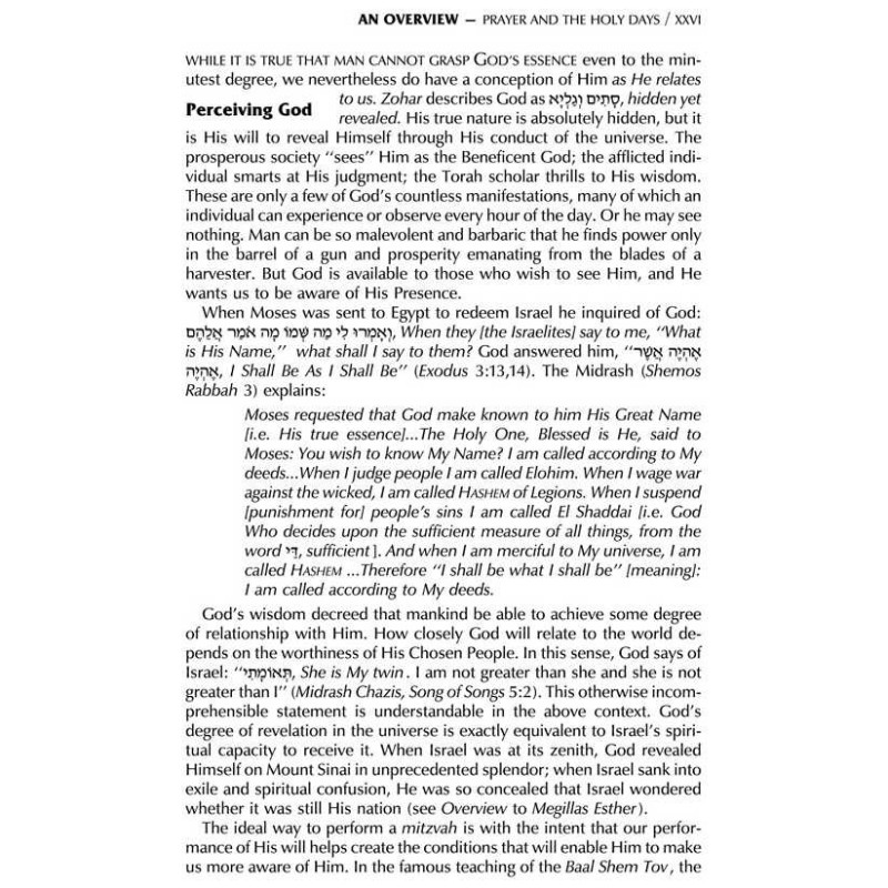 Interlinear Sabbath & Festivals Siddur Pocket Size | Books | Judaica