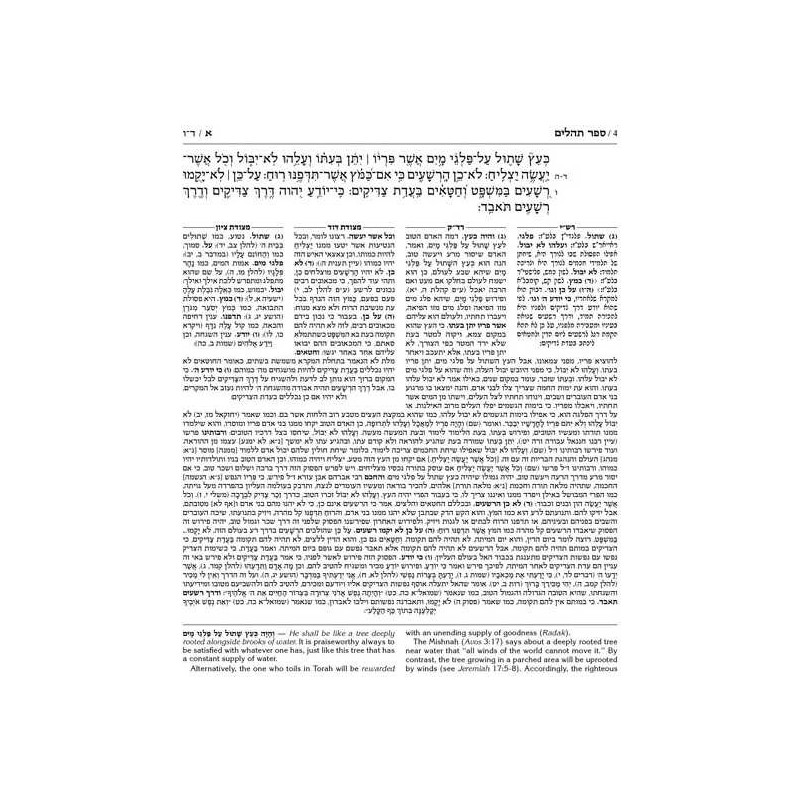 Kesuvim: Psalms (Tehillim) - Hardcover | Books | Judaica