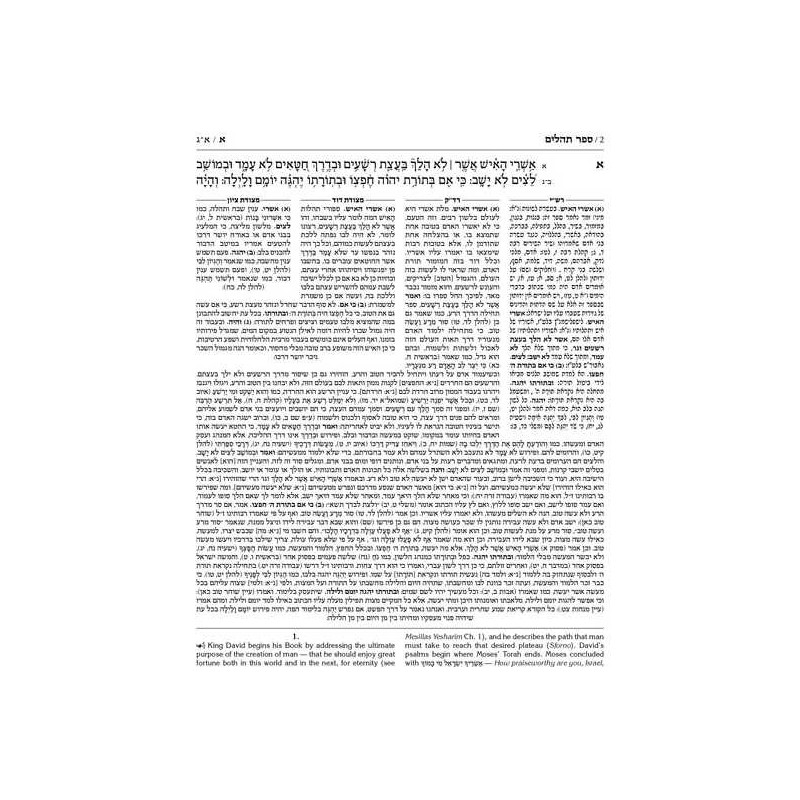 Kesuvim: Psalms (Tehillim) - Hardcover | Books | Judaica