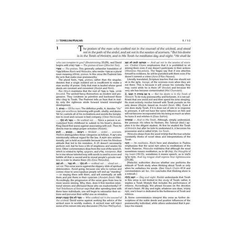 Kesuvim: Psalms (Tehillim) - Hardcover | Books | Judaica