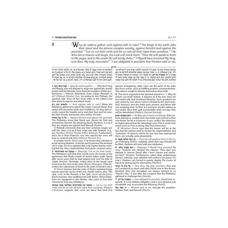 Kesuvim: Psalms (Tehillim) - Hardcover | Books | Judaica