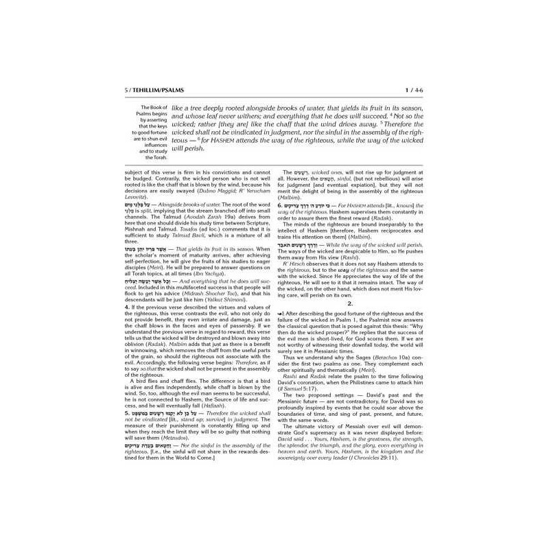 Kesuvim: Psalms (Tehillim) - Hardcover | Books | Judaica