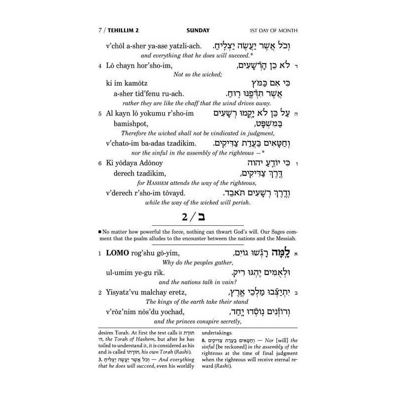 Seif Edition Tehillim: Transliterated Linear - Poc | Books | Judaica