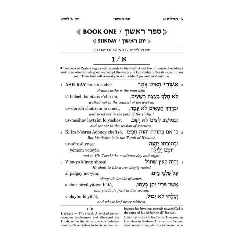 Seif Edition Tehillim: Transliterated Linear - Poc | Books | Judaica