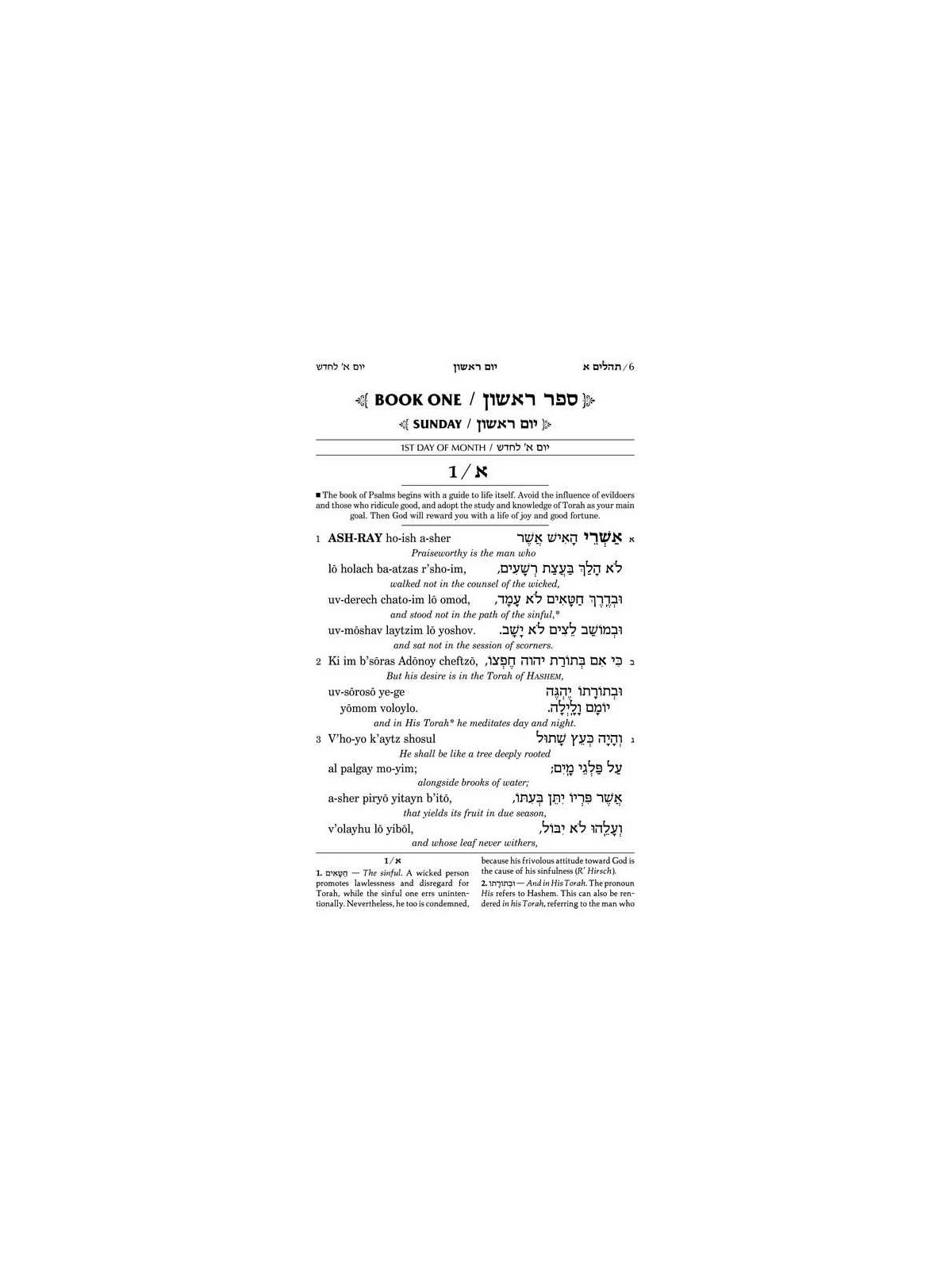Seif Edition Tehillim: Transliterated Linear - Poc | Books | Judaica