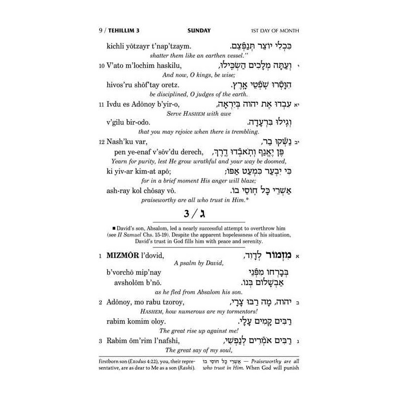 Seif Edition Tehillim: Transliterated Linear - Poc | Books | Judaica