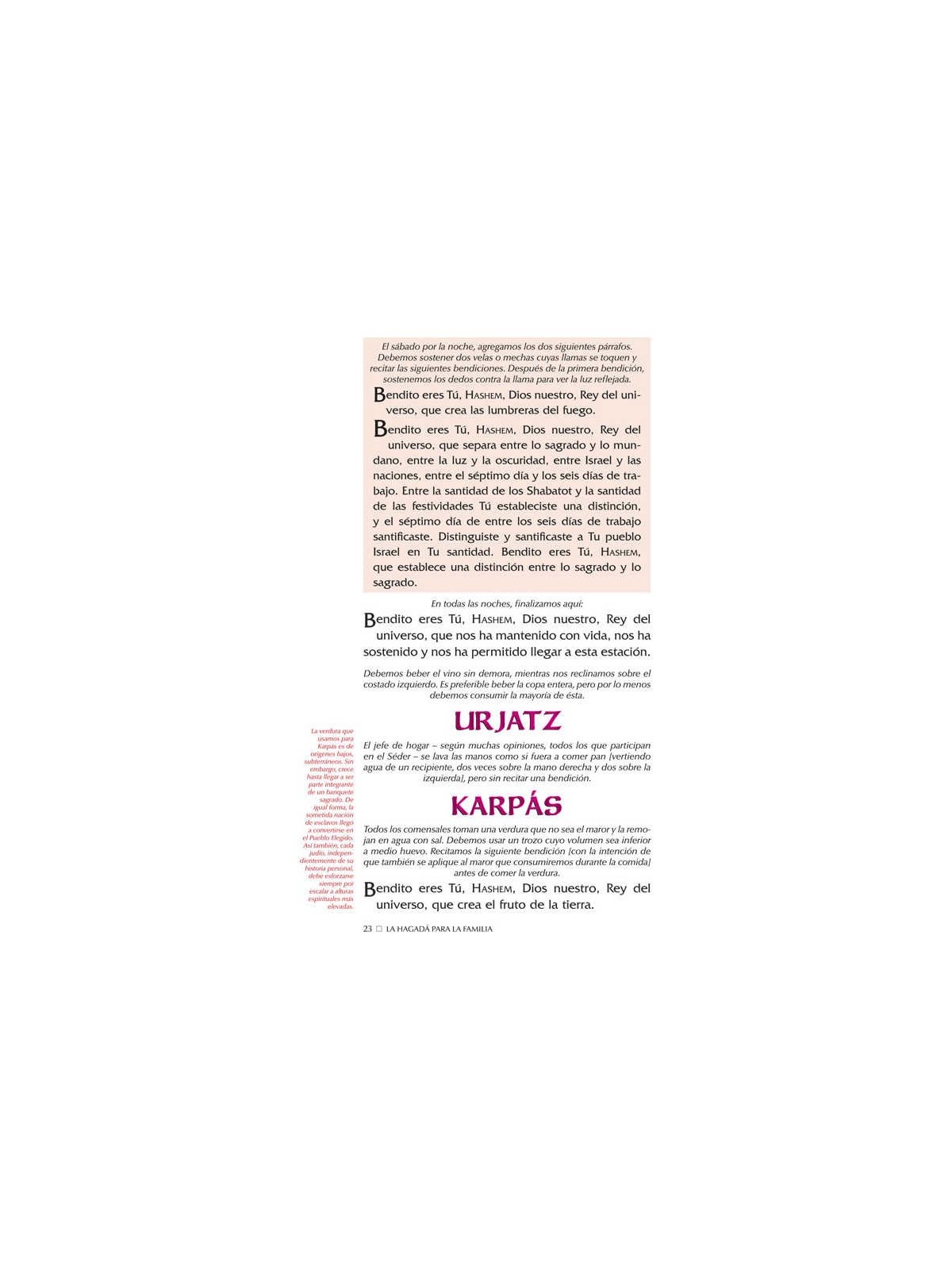 Haggadah:Family Haggadah-Spanish Edition - Paperba | Passover | Judaic