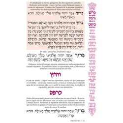 Haggadah:Family Haggadah-Spanish Edition - Paperba | Passover | Judaic
