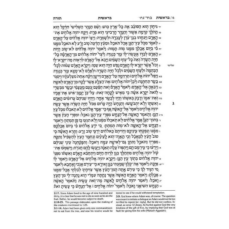 Stone Edition Tanach - Full Size (7" x 10")- Parch | Books | Judaica