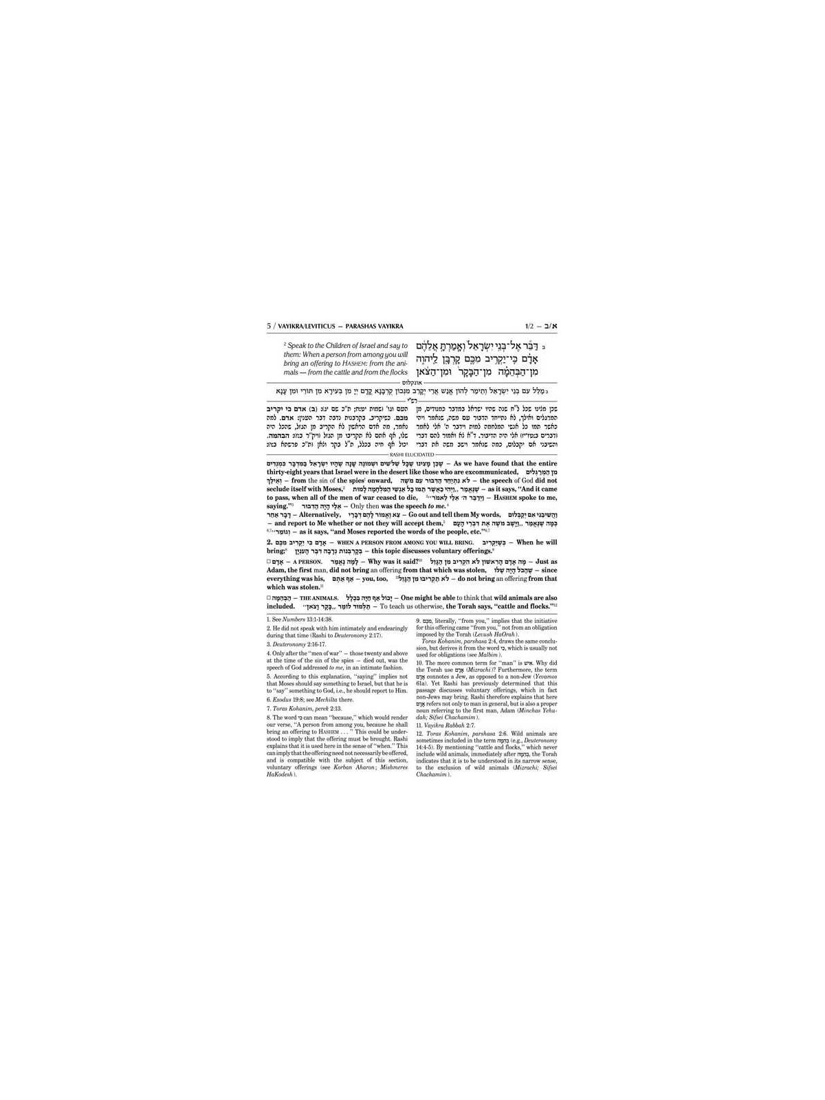 Sapirstein Edition Rashi - 3 - Vayikra - Student S | Books | Judaica