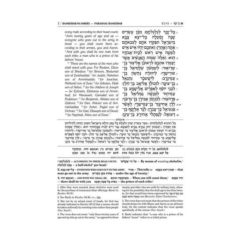 Sapirstein Edition Rashi - 4 - Bamidbar - Student  | Books | Judaica