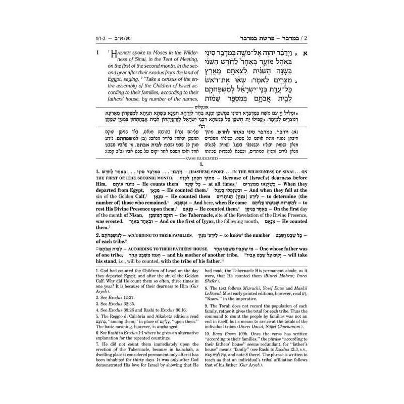 Sapirstein Edition Rashi - 4 - Bamidbar - Student  | Books | Judaica