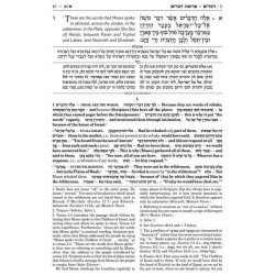 Sapirstein Edition Rashi - 5 - Devarim - Student S | Books | Judaica