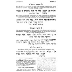 Complete Hebrew/English Siddur Full Size - Ashkena | Books | Judaica