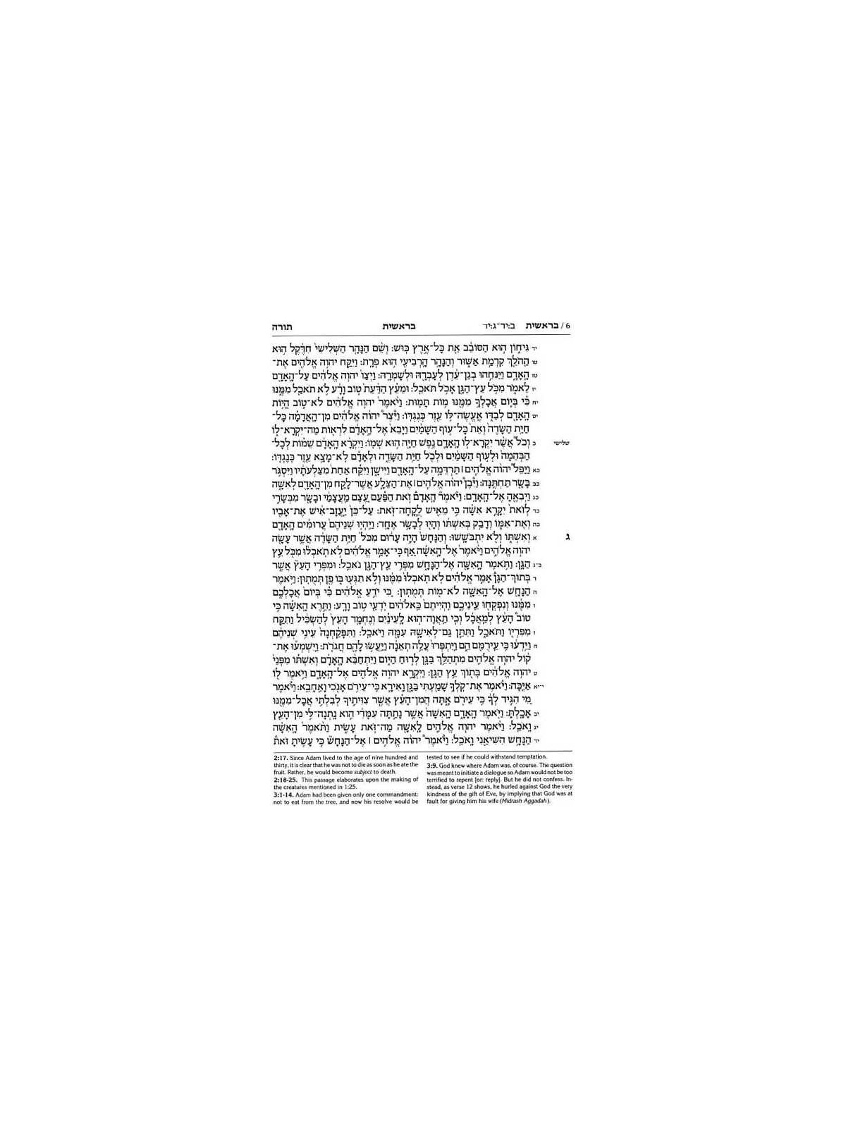 Stone Edition Tanach - Student Size (5 1/2" x 8 1/ | Books | Judaica