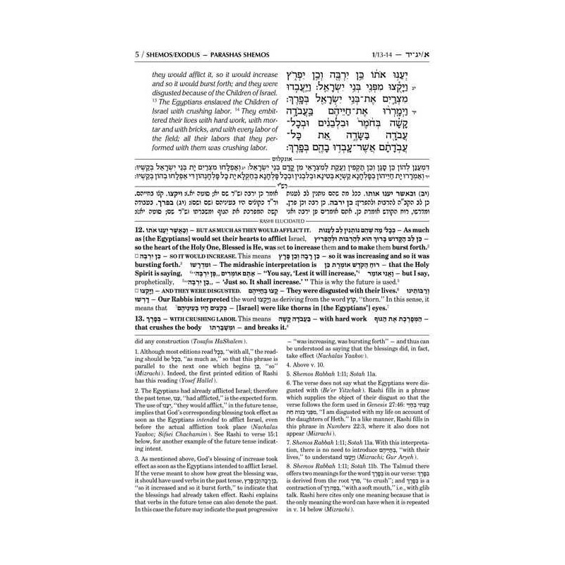 Sapirstein Edition Rashi - 2 - Shemos - Student Si | Books | Judaica