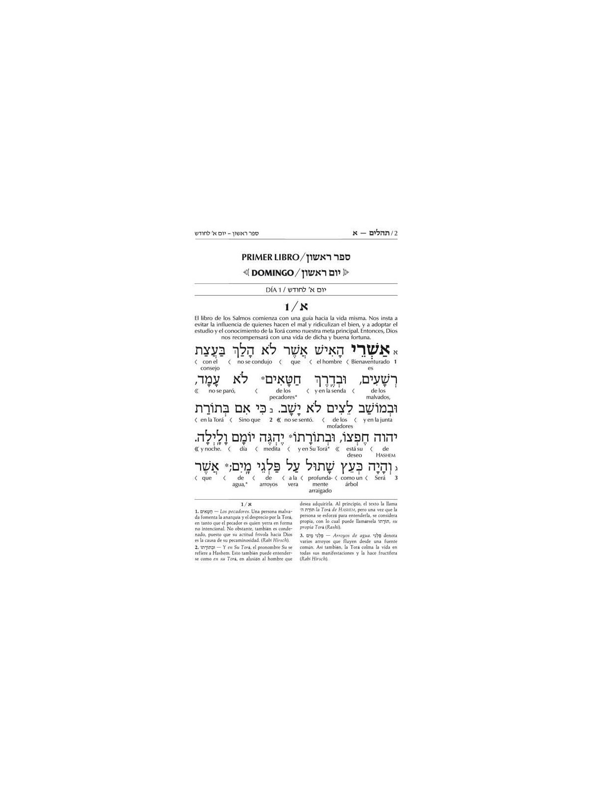 Wengrowsky Edition Spanish Interlinear Tehillim | Books | Judaica