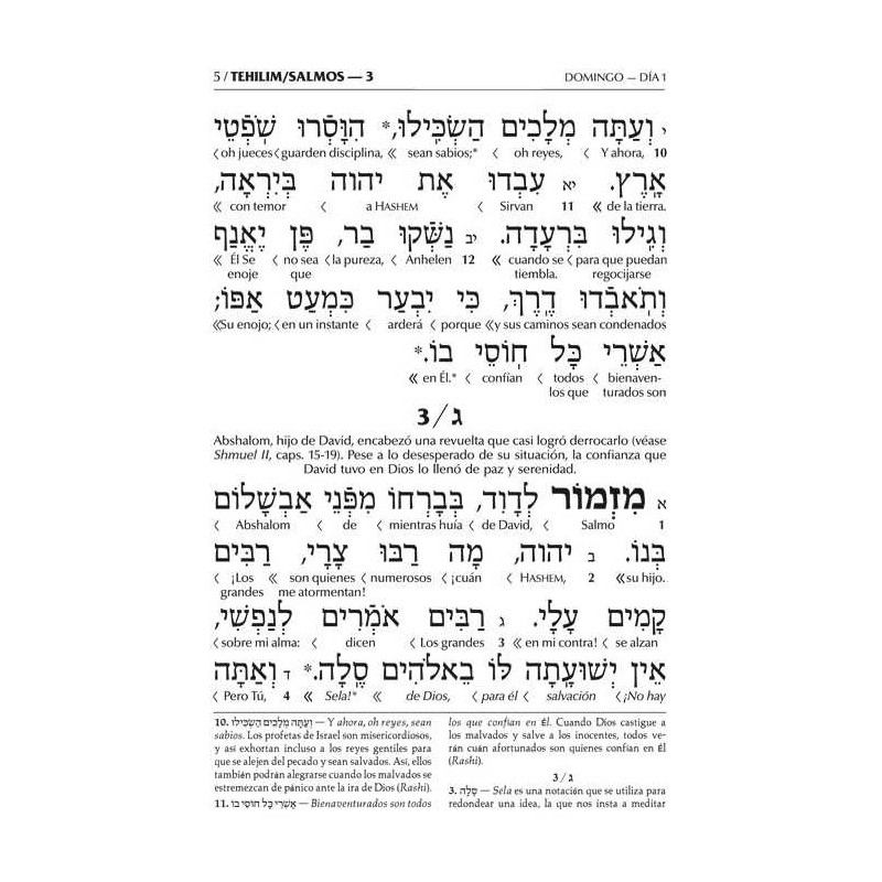 Wengrowsky Edition Spanish Interlinear Tehillim | Books | Judaica