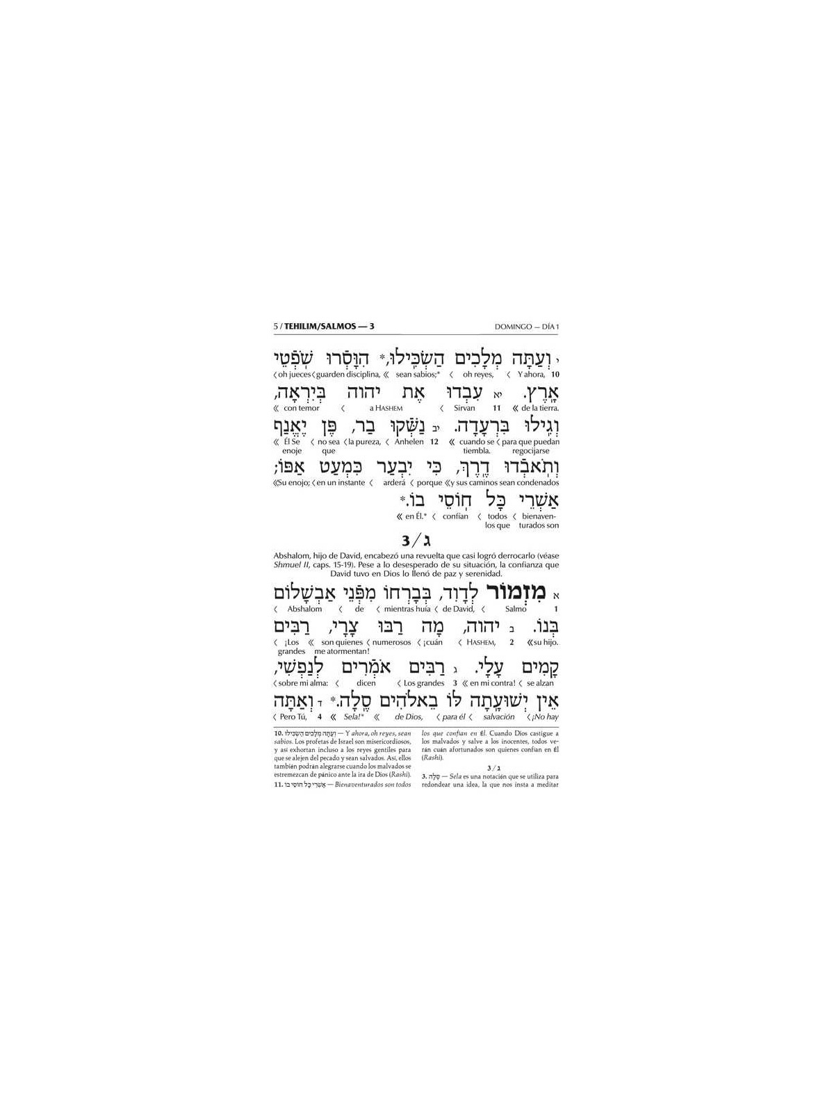 Wengrowsky Edition Spanish Interlinear Tehillim | Books | Judaica