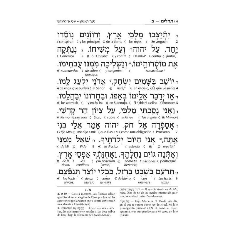Wengrowsky Edition Spanish Interlinear Tehillim | Books | Judaica