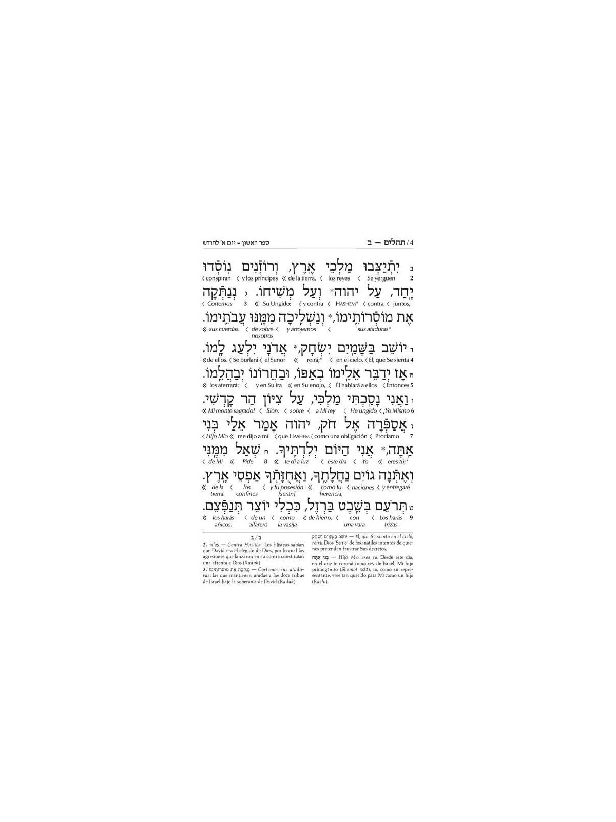 Wengrowsky Edition Spanish Interlinear Tehillim | Books | Judaica