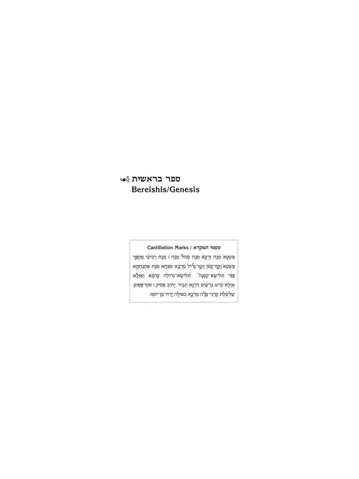Stone Edition of the Chumash | Books | Judaica