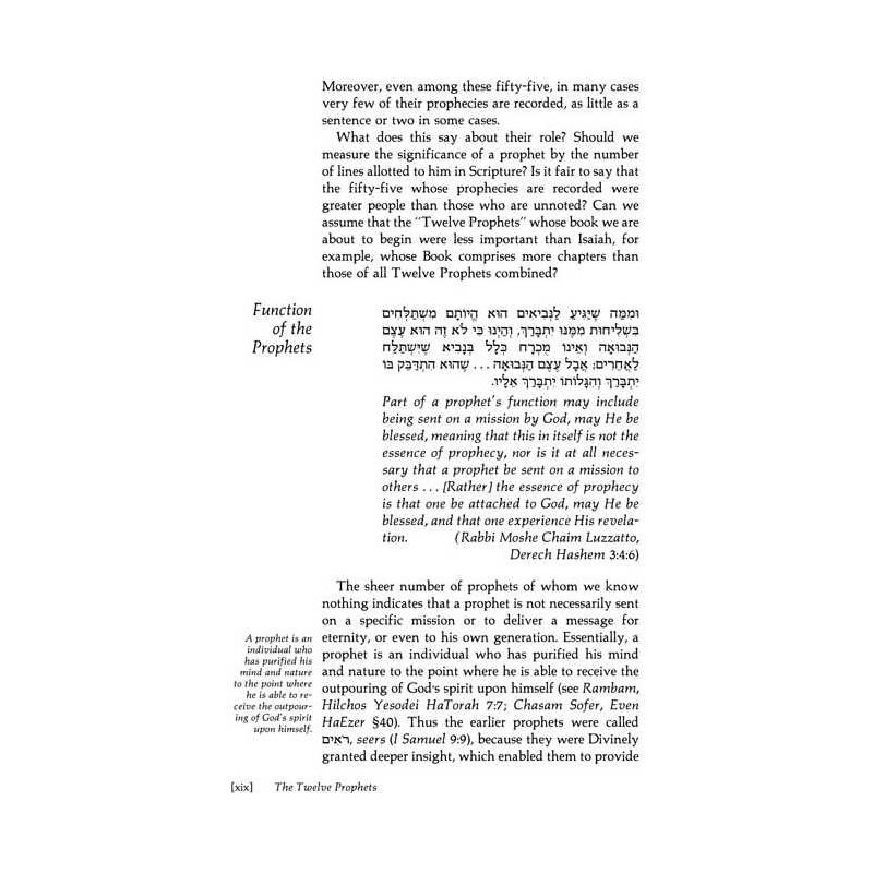 Trei Asar I / Twelve Prophets I - Hardcover | Books | Judaica