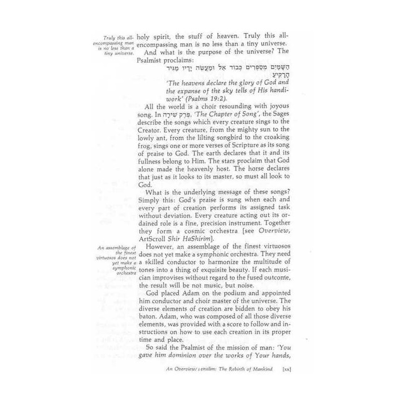 Tehillim / Psalms - 2 Vol Shrink Wrapped Set - Har | Books | Judaica