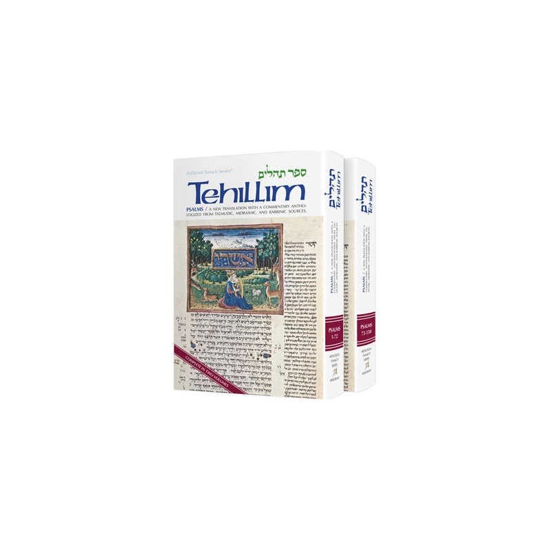 Tehillim / Psalms - 2 Vol Shrink Wrapped Set - Har | Books | Judaica