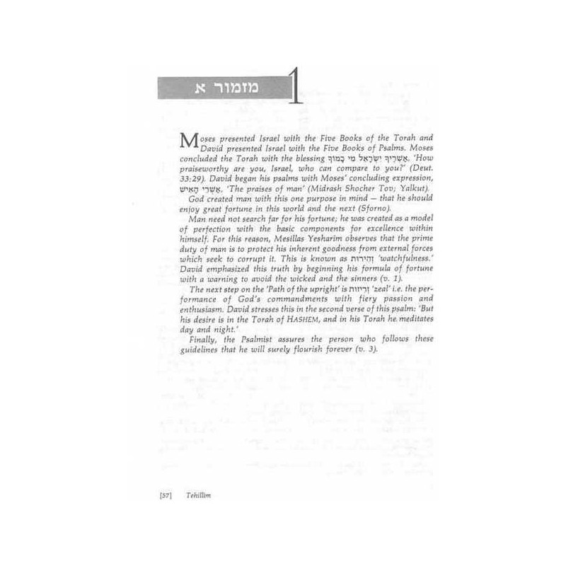 Tehillim / Psalms - 2 Vol Shrink Wrapped Set - Har | Books | Judaica