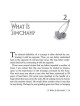 Simchah - It's Not Just Happiness - Hardcover | Books | Judaica