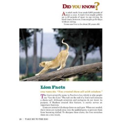 Take Me To The Zoo - Hardcover | Books | Judaica