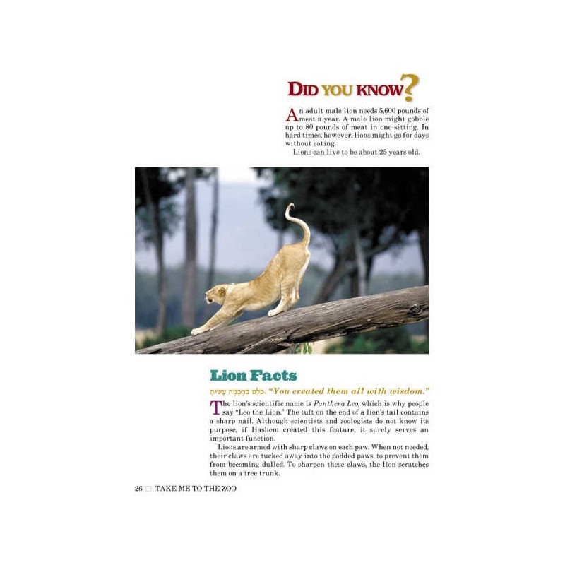 Take Me To The Zoo - Hardcover | Books | Judaica
