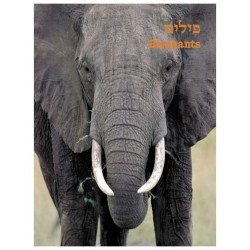 Take Me To The Zoo - Hardcover | Books | Judaica