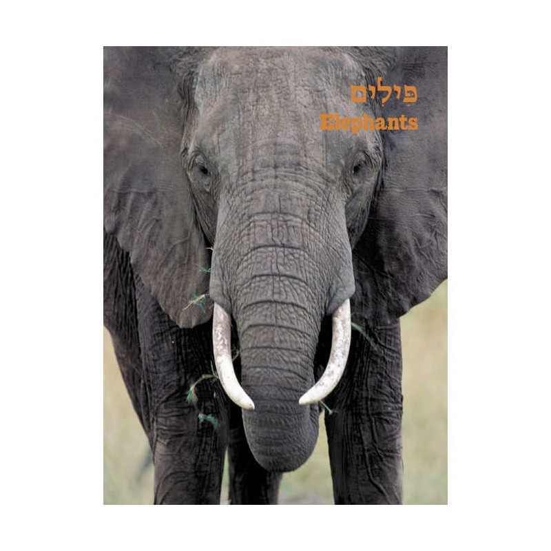 Take Me To The Zoo - Hardcover | Books | Judaica