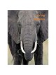 Take Me To The Zoo - Hardcover | Books | Judaica