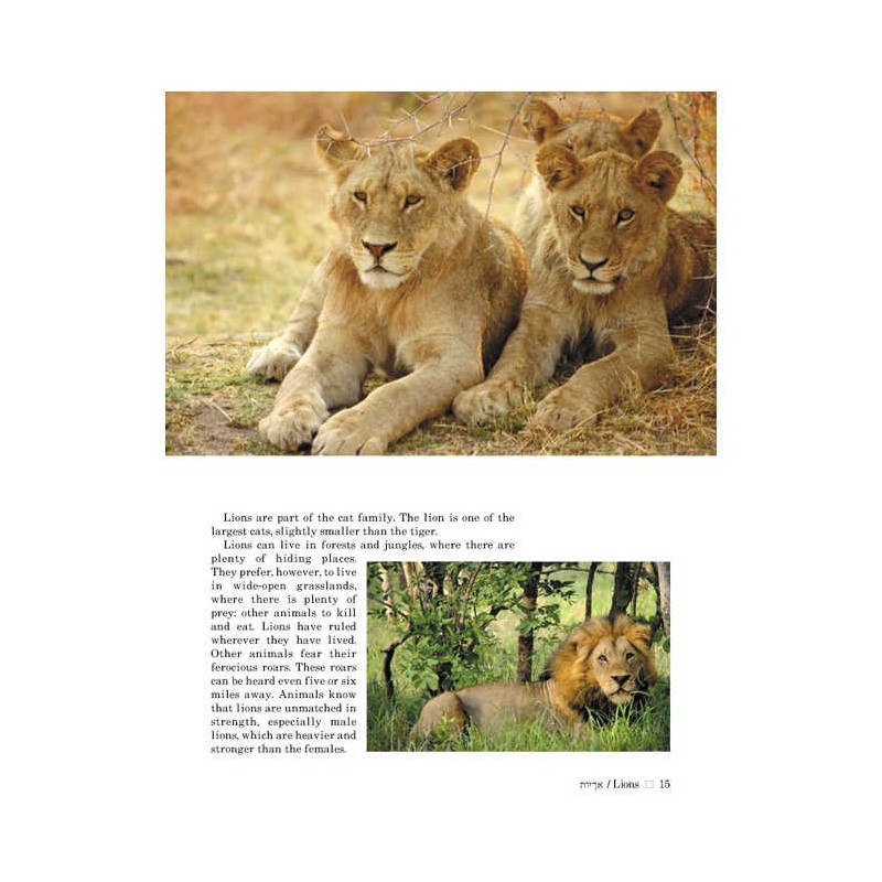 Take Me To The Zoo - Hardcover | Books | Judaica