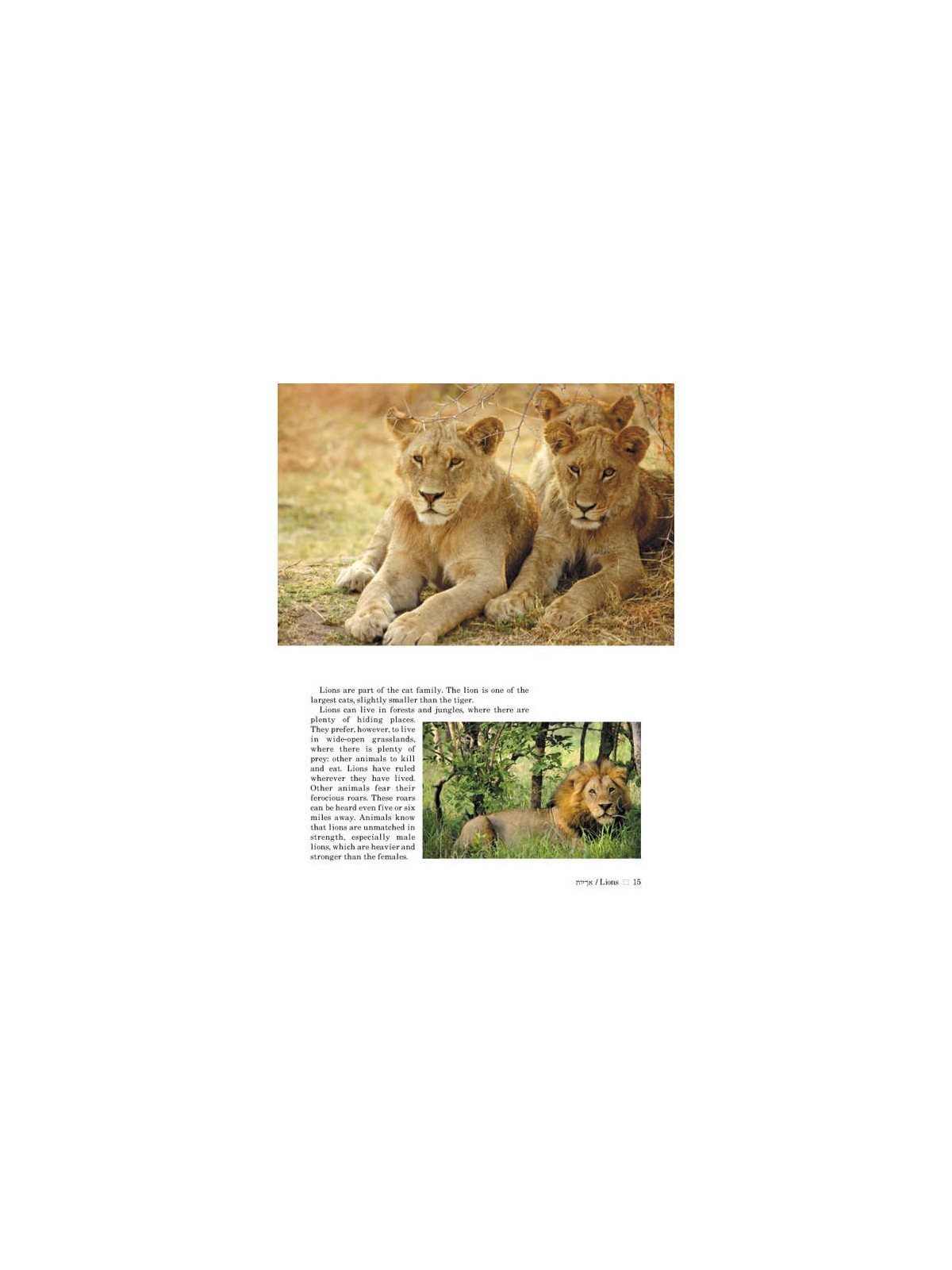 Take Me To The Zoo - Hardcover | Books | Judaica