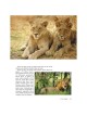 Take Me To The Zoo - Hardcover | Books | Judaica