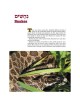 Take Me To The Zoo - Hardcover | Books | Judaica