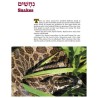 Take Me To The Zoo - Hardcover | Books | Judaica
