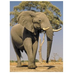 Take Me To The Zoo - Hardcover | Books | Judaica