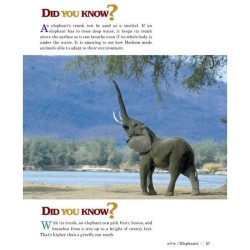 Take Me To The Zoo - Hardcover | Books | Judaica