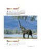 Take Me To The Zoo - Hardcover | Books | Judaica