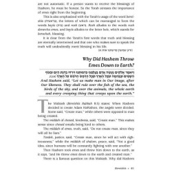 Zera Shimshon: The Sefer. The Stories. The Segulah | Books | Judaica