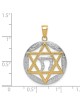 14k Yellow Gold and Rhodium Polished Star of David | Jewelry | Judaica