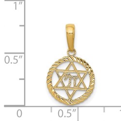 14k Yellow Gold Star of David and Chai Circle Pend | Jewelry | Judaica