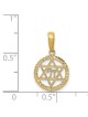 14k Yellow Gold Star of David and Chai Circle Pend | Jewelry | Judaica