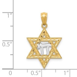 14k Yellow Gold And Rhodium Chai Star of David Pen | Jewelry | Judaica