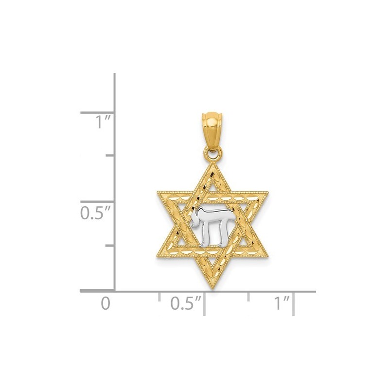 14k Yellow Gold And Rhodium Chai Star of David Pen | Jewelry | Judaica